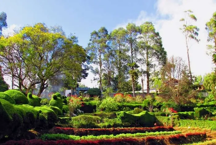 Serene walking trail at Bryant Park in Kodaikanal