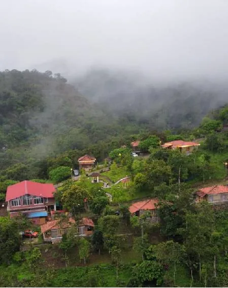 Cottage in the woods at Zacs Valley Resort