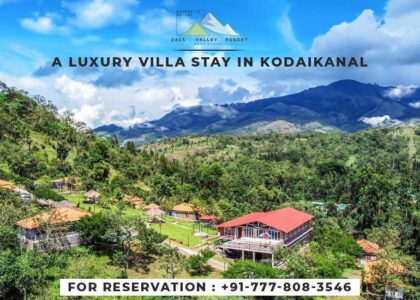 Nature retreat and wellness blog from Zacs Valley Resort