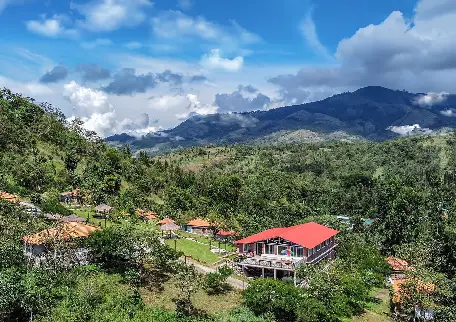 Discover Your Dream Plot with Kodaikanal Land Sale at Zacs Realty