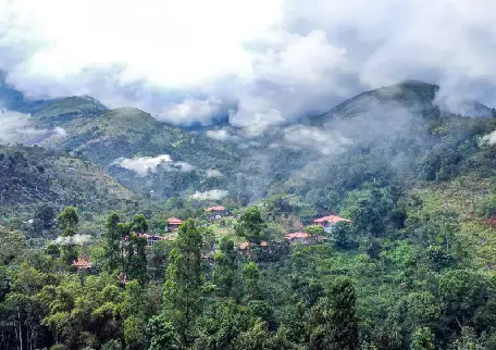 Plots for Sale in Kodaikanal – A Rare Investment in Nature’s Lap