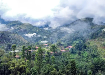 Top Reasons Why Zacs Valley is the Perfect Summer Escape in Kodaikanal